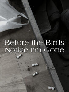 Official Poster for Before the Birds Notice I'm Gone (Short Film) directed by Rakim - Wikidata Q138724044