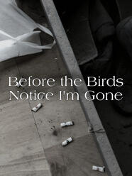 Before the Birds Notice I'm Gone (Short Film) — IMDb / Wikidata Official Poster for Before the Birds Notice I'm Gone (Short Film) directed by Rakim - Wikidata Q138724044